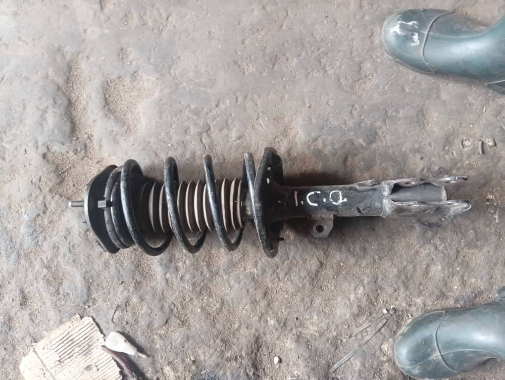 Front Shock Absorber and Coil Spring Assembly