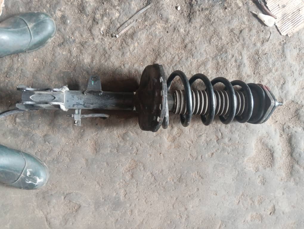 Back Shock Absorber